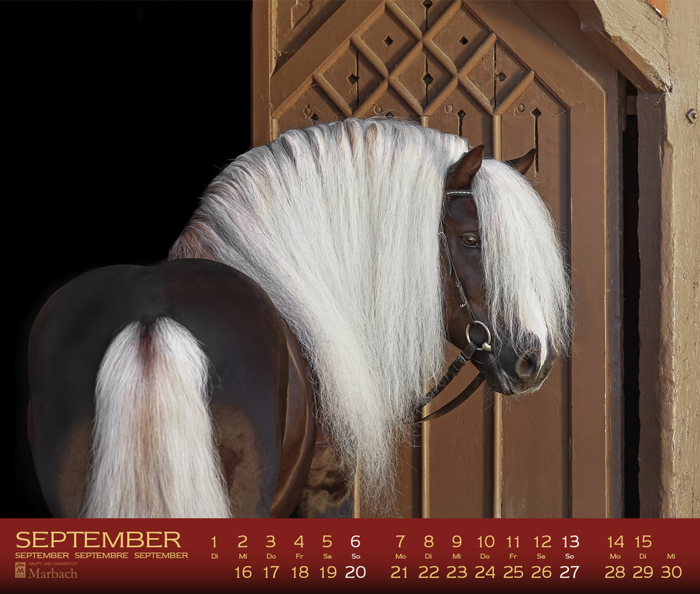 Weitere Ansicht: Marbach 2027