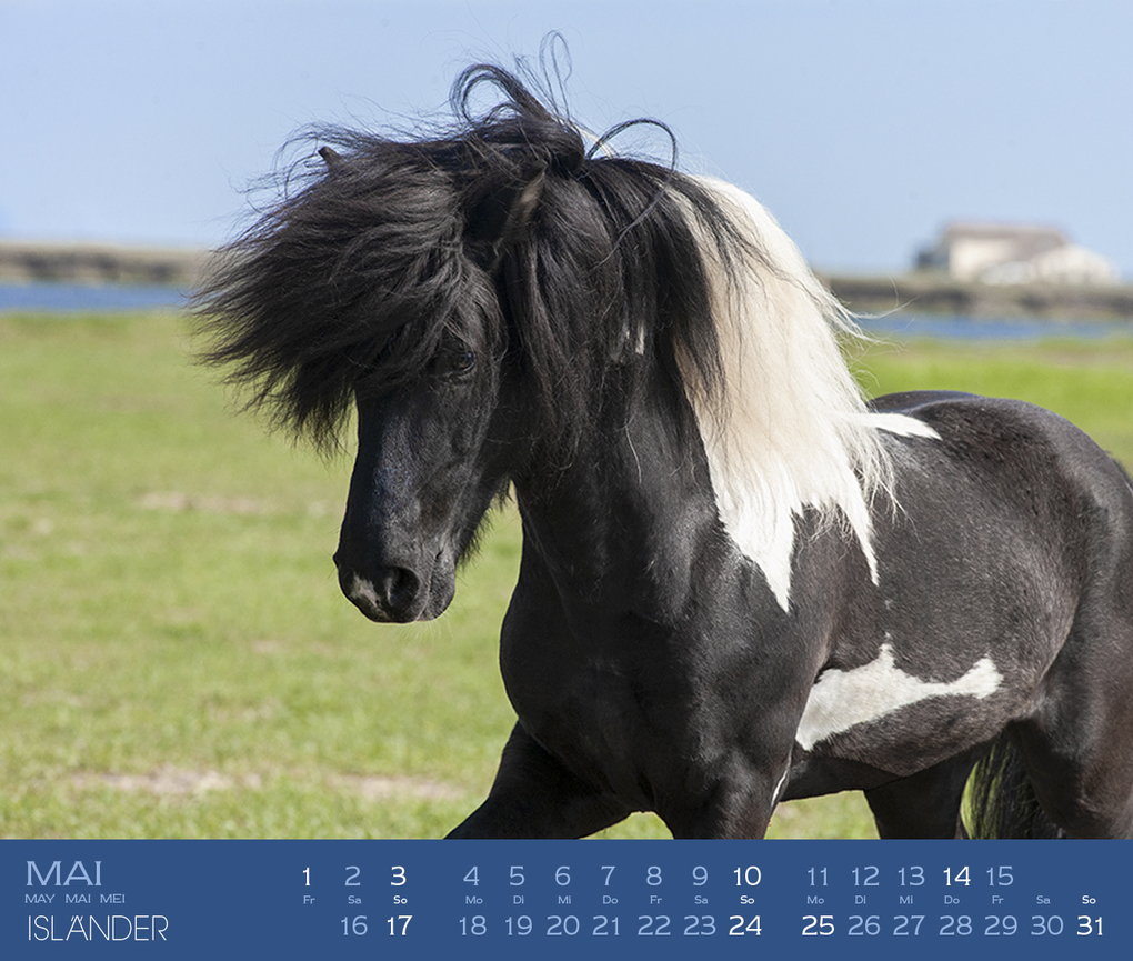 Weitere Ansicht: Isländer 2027