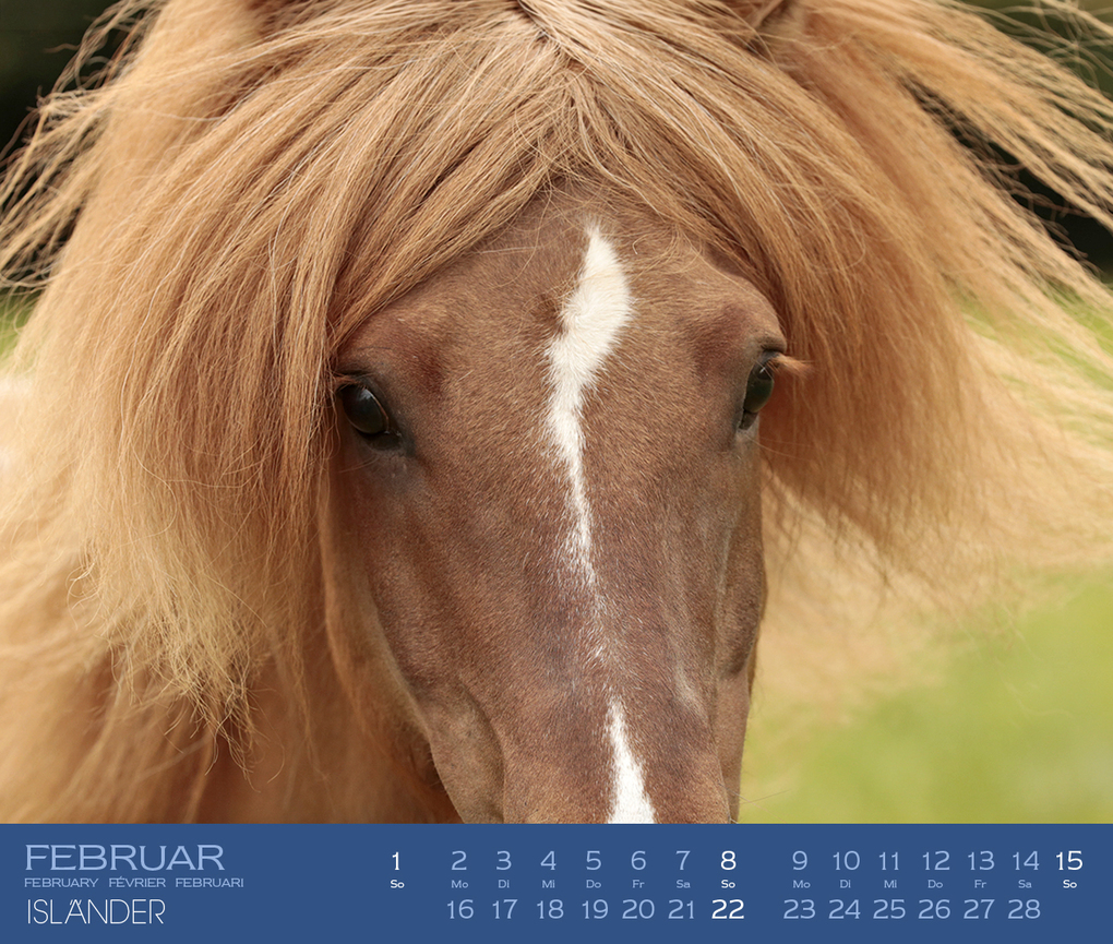 Weitere Ansicht: Isländer 2027