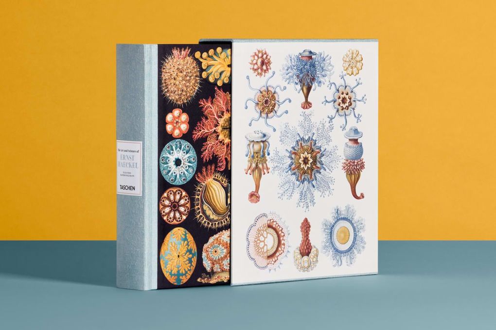 Weitere Ansicht: The Art and Science of Ernst Haeckel | Julia Voss, Rainer Willmann