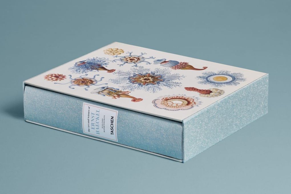 Weitere Ansicht: The Art and Science of Ernst Haeckel | Julia Voss, Rainer Willmann