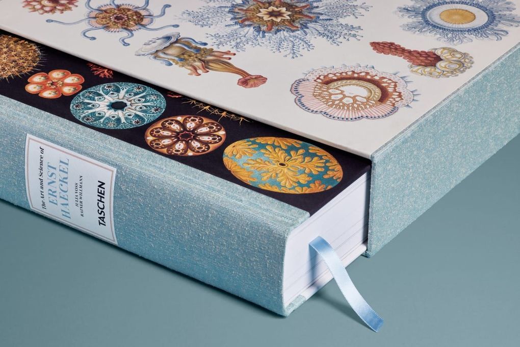 Weitere Ansicht: The Art and Science of Ernst Haeckel | Julia Voss, Rainer Willmann