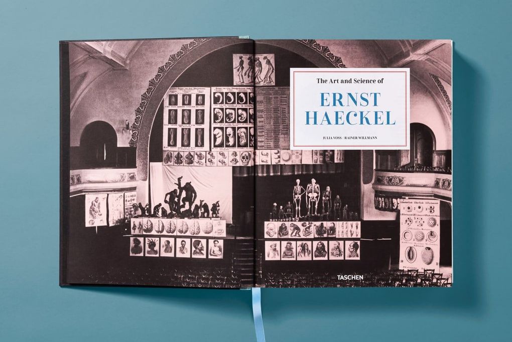 Weitere Ansicht: The Art and Science of Ernst Haeckel | Julia Voss, Rainer Willmann