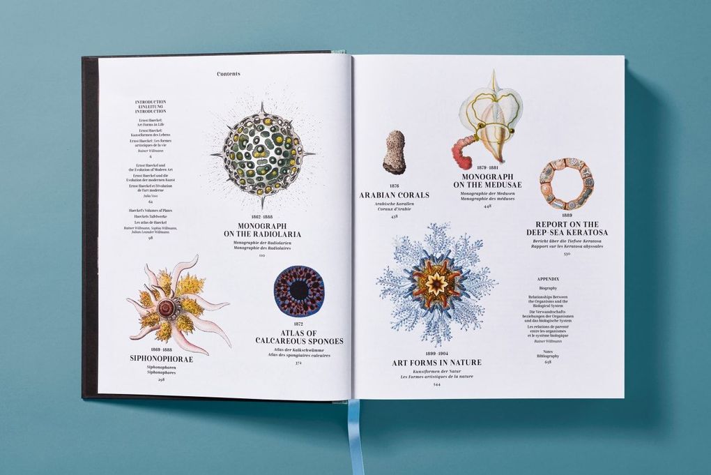 Weitere Ansicht: The Art and Science of Ernst Haeckel | Julia Voss, Rainer Willmann