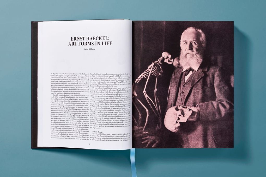 Weitere Ansicht: The Art and Science of Ernst Haeckel | Julia Voss, Rainer Willmann
