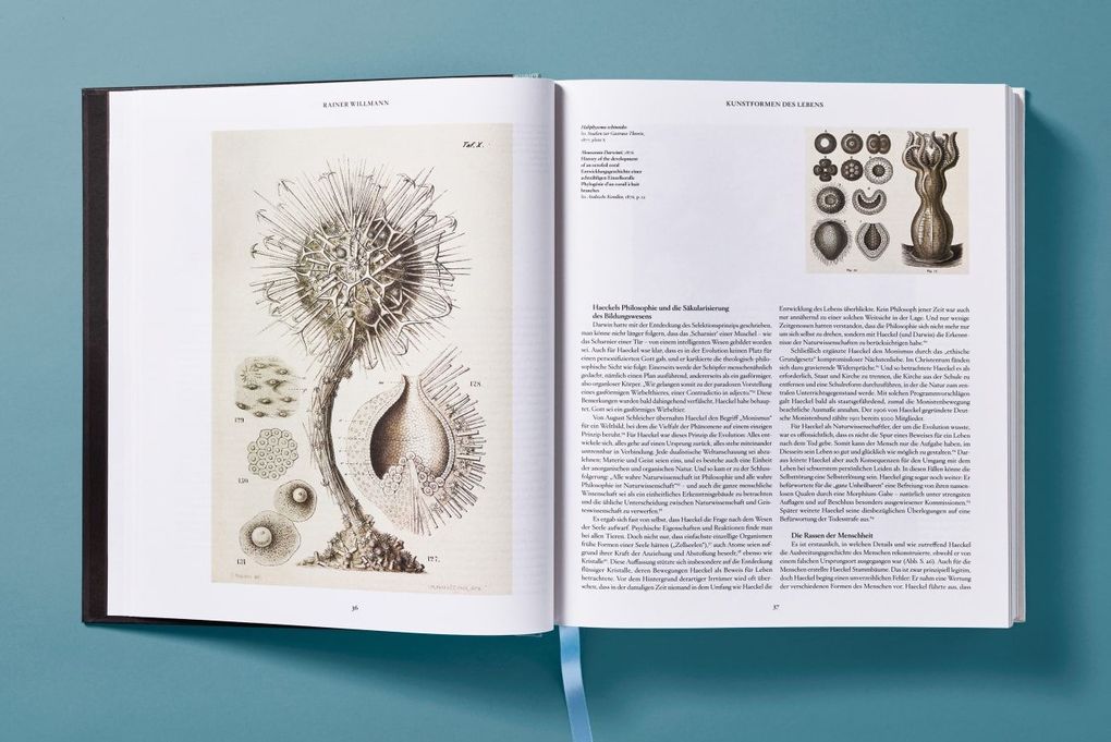 Weitere Ansicht: The Art and Science of Ernst Haeckel | Julia Voss, Rainer Willmann