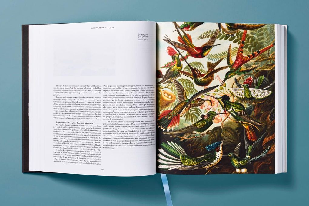 Weitere Ansicht: The Art and Science of Ernst Haeckel | Julia Voss, Rainer Willmann
