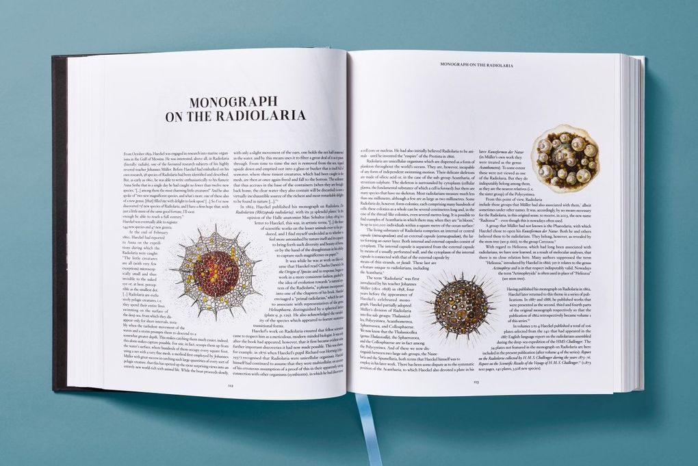 Weitere Ansicht: The Art and Science of Ernst Haeckel | Julia Voss, Rainer Willmann