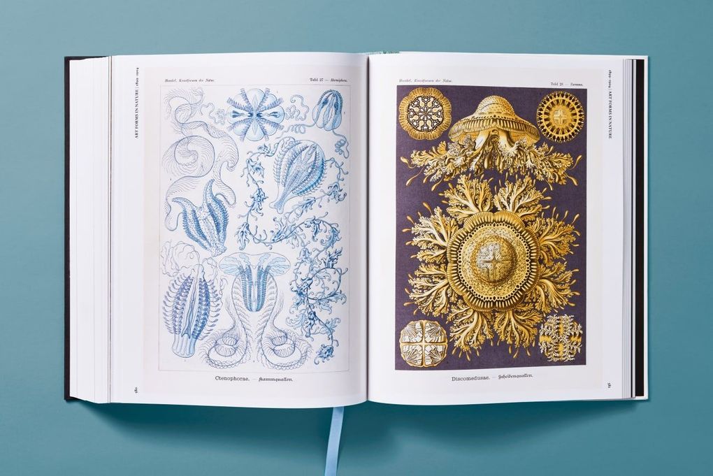 Weitere Ansicht: The Art and Science of Ernst Haeckel | Julia Voss, Rainer Willmann