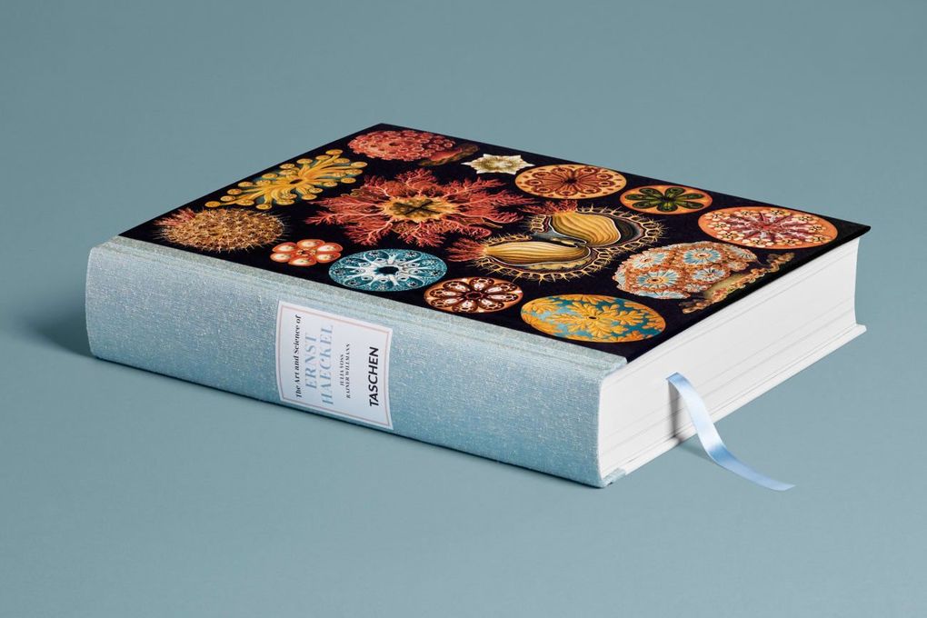 Weitere Ansicht: The Art and Science of Ernst Haeckel | Julia Voss, Rainer Willmann