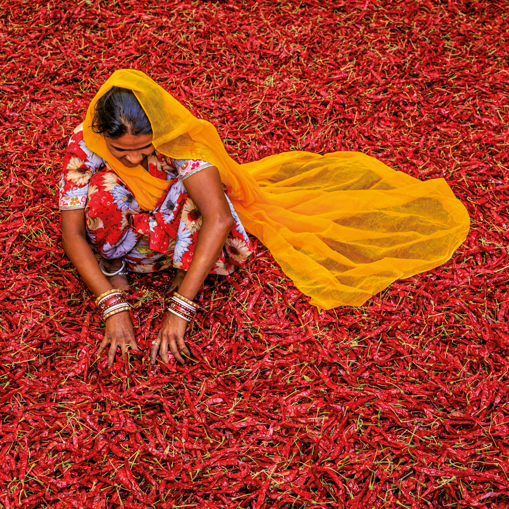 Weitere Ansicht: Colours of India 2027