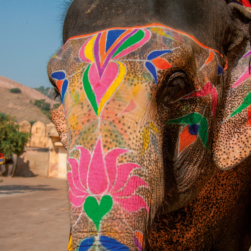 Weitere Ansicht: Colours of India 2027