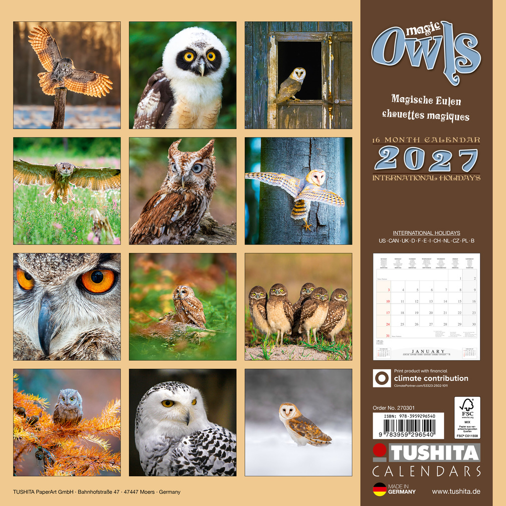 Weitere Ansicht: Magic Owls 2027