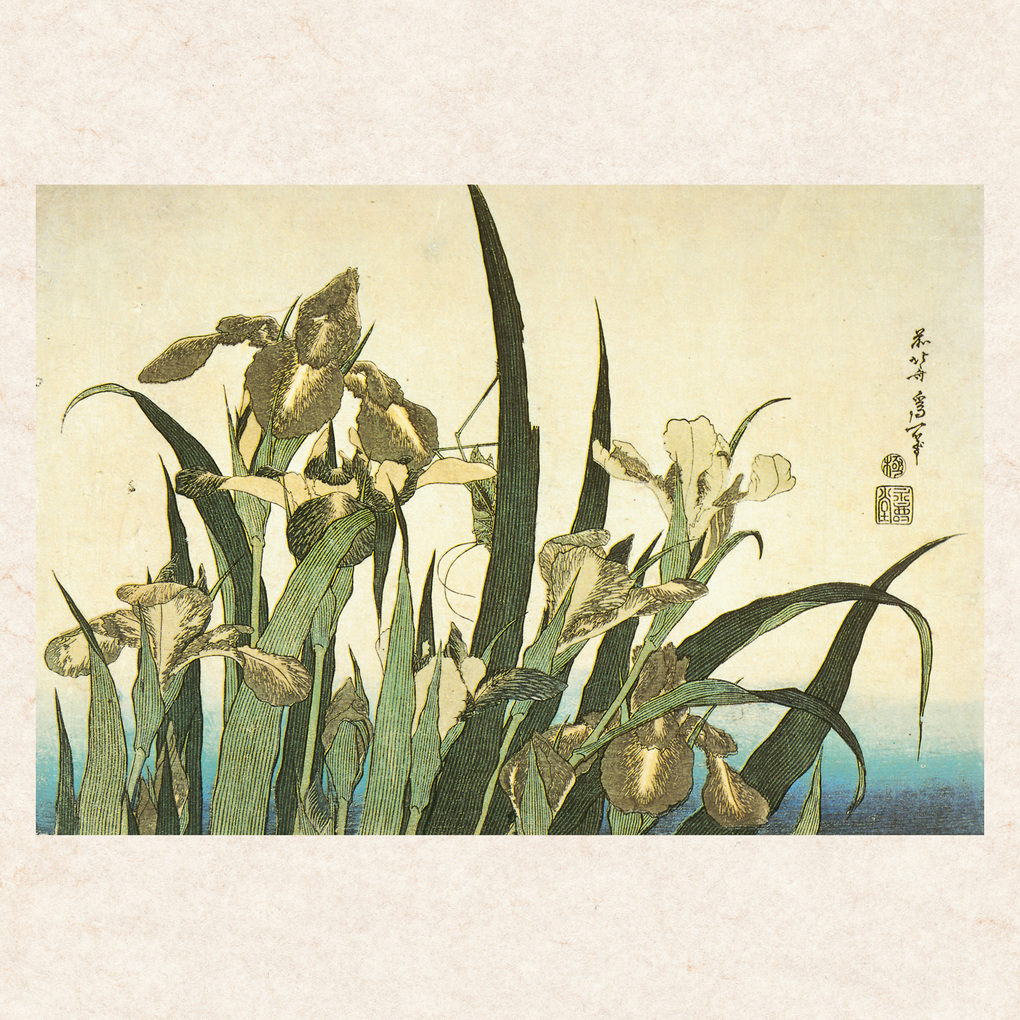 Weitere Ansicht: Hokusai/Hiroshige - Nature's Spell 2027