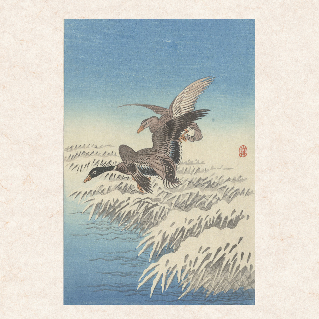 Weitere Ansicht: Ohara Koson 2027