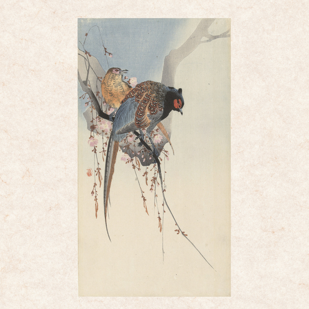 Weitere Ansicht: Ohara Koson 2027