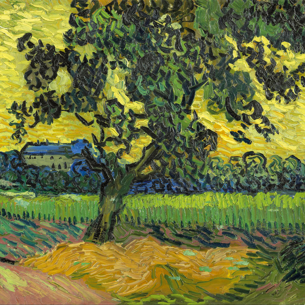 Weitere Ansicht: van Gogh - Colours of the Provence 2027