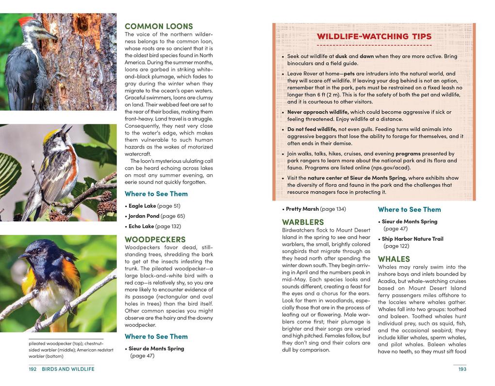Weitere Ansicht: Moon Best of Acadia | Hilary Nangle, Moon Travel Guides