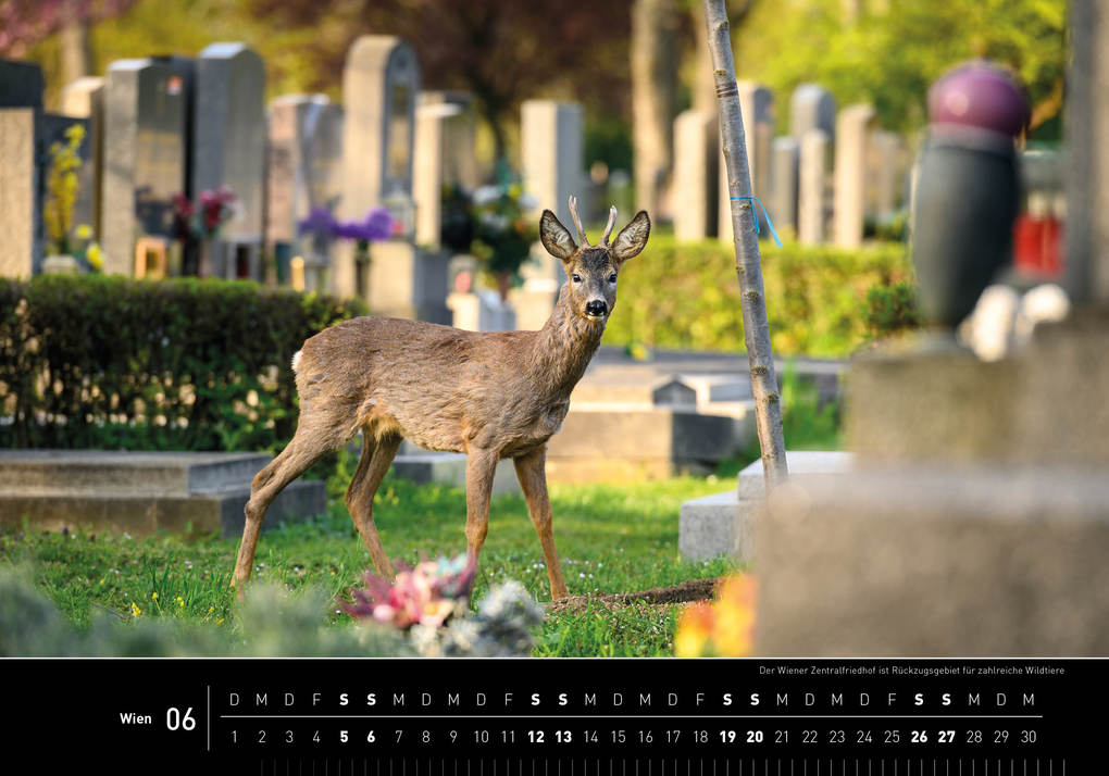 Weitere Ansicht: Wien Premiumkalender 2027