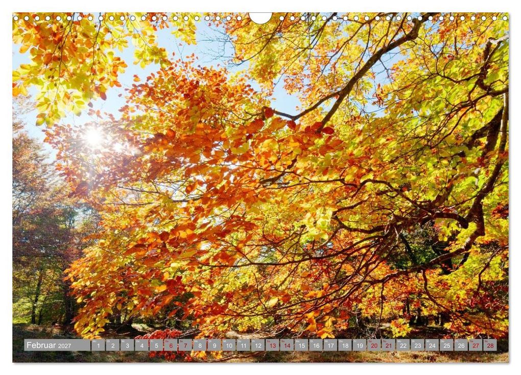 Weitere Ansicht: Herbst. Die letzten Farben des Jahres (Wandkalender 2027 DIN A3 quer), CALVENDO Monatskalender | Klaus Scholz, Calvendo