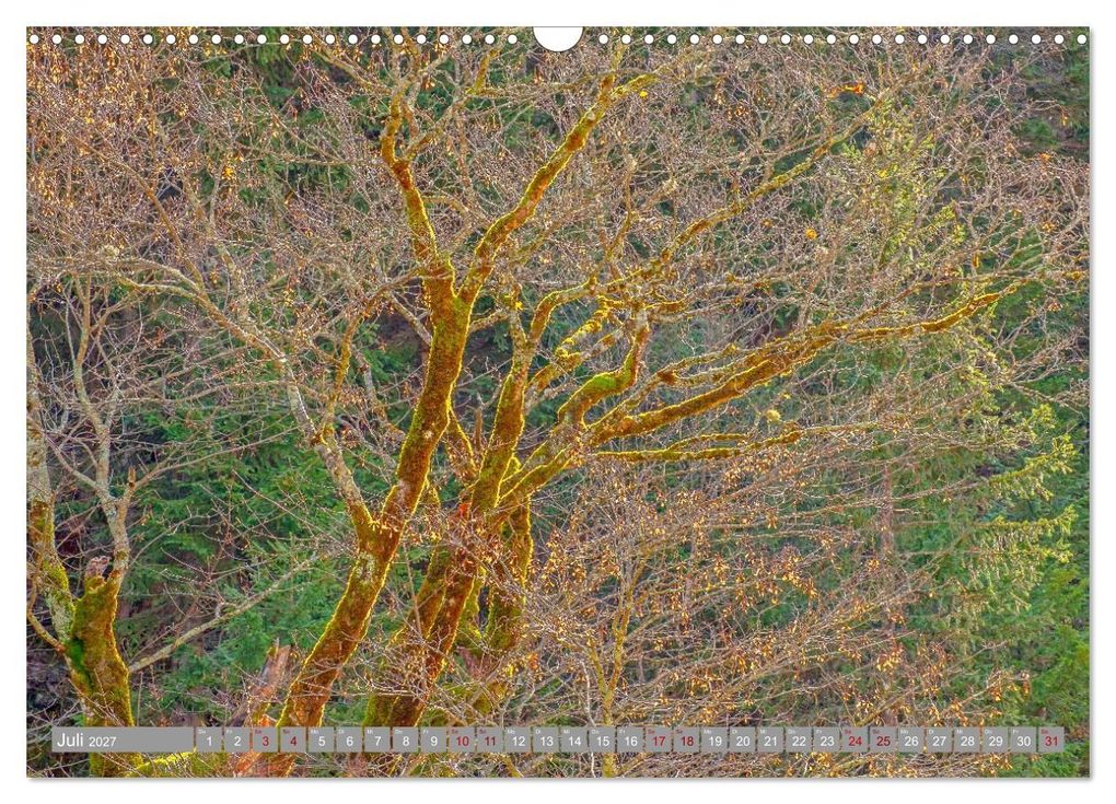 Weitere Ansicht: Herbst. Die letzten Farben des Jahres (Wandkalender 2027 DIN A3 quer), CALVENDO Monatskalender | Klaus Scholz, Calvendo