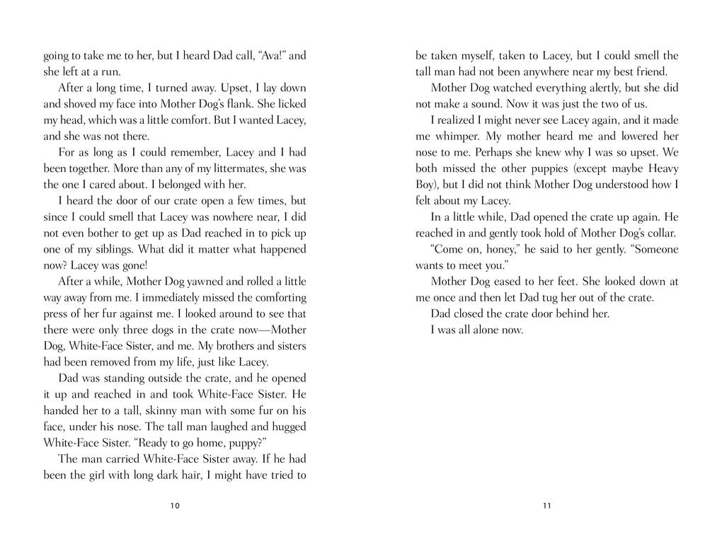 Weitere Ansicht: Cooper's Story | W Bruce Cameron