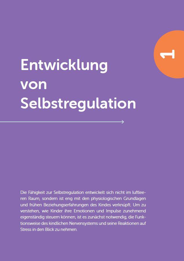 Weitere Ansicht: Selbst- und Co-Regulation verstehen und anwenden | Ineke Eilers