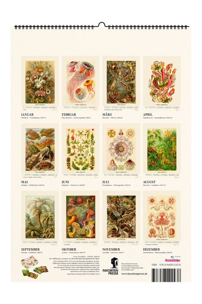 Weitere Ansicht: Ernst Haeckel. Kunstformen der Natur. Wandkalender 2027