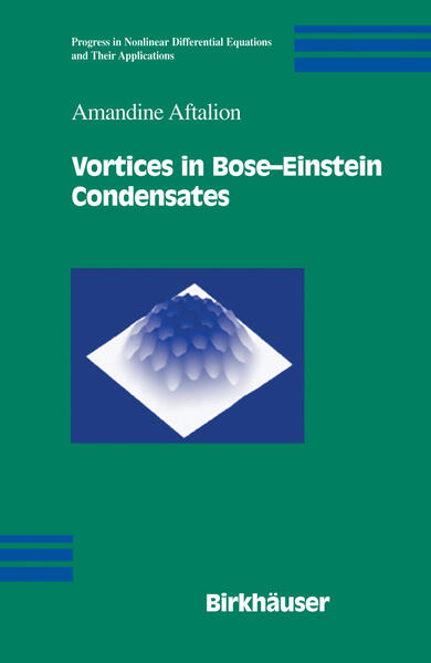 Produktbild: Vortices in Bose-Einstein Condensates | Amandine Aftalion