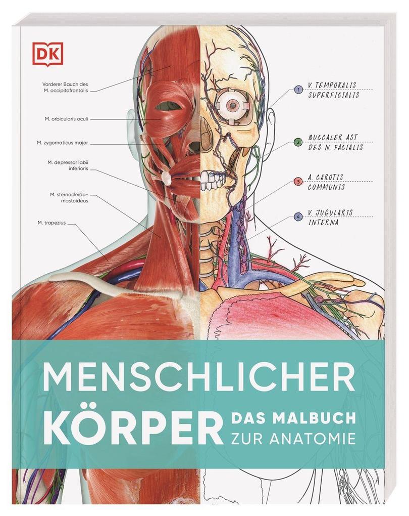 Produktbild: Menschlicher Körper | Susan Standring