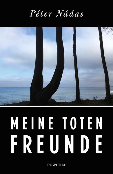 Produktbild: Meine toten Freunde | Péter Nádas
