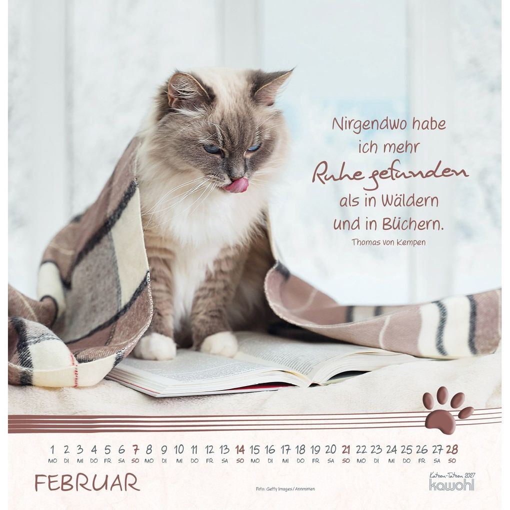 Weitere Ansicht: Katzen-Tatzen 2027