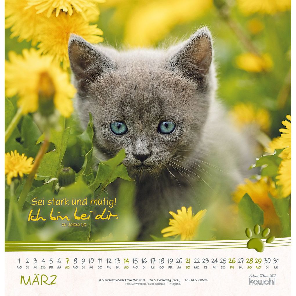 Weitere Ansicht: Katzen-Tatzen 2027