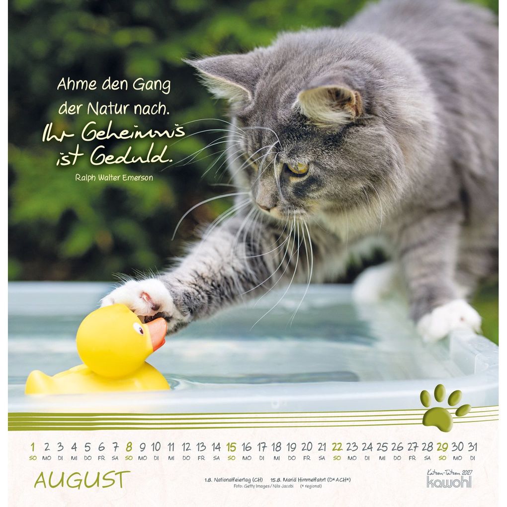 Weitere Ansicht: Katzen-Tatzen 2027