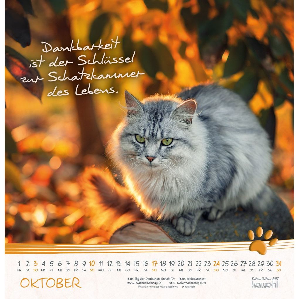 Weitere Ansicht: Katzen-Tatzen 2027