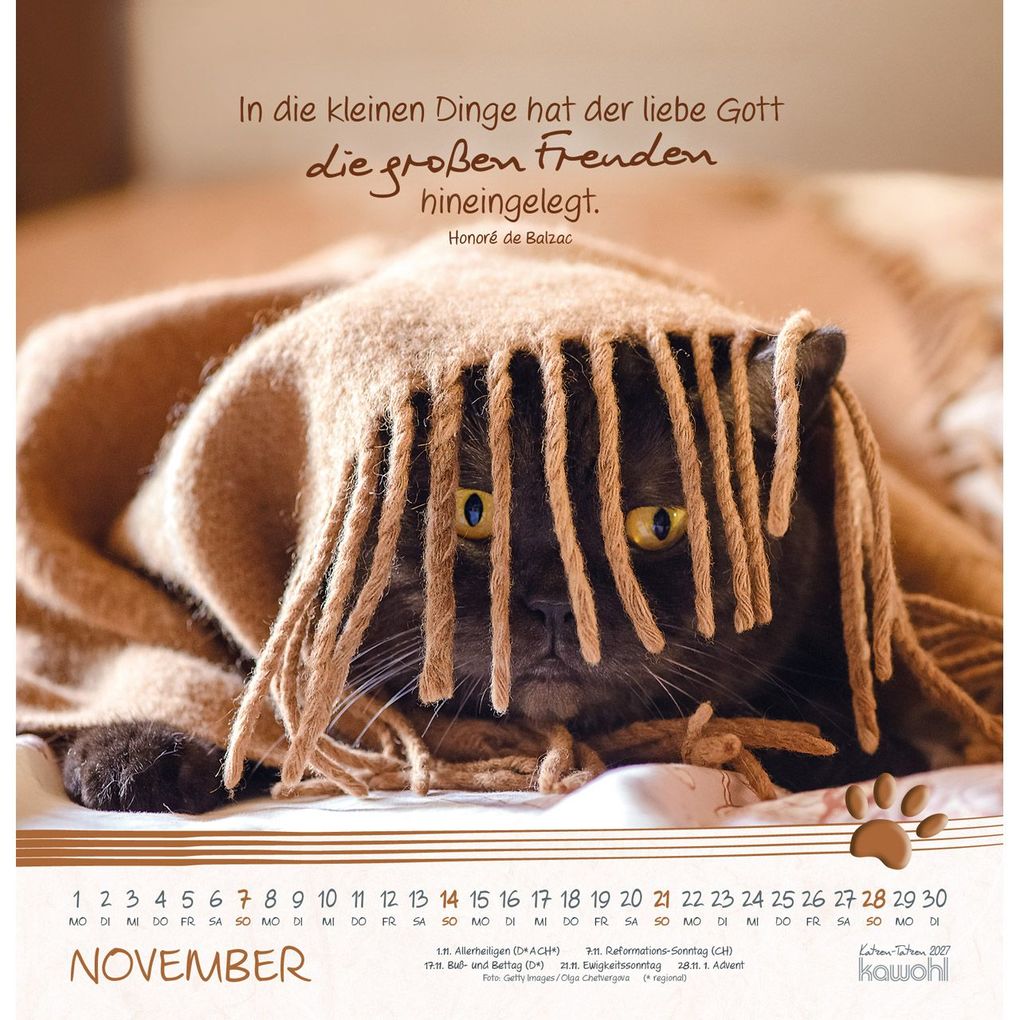 Weitere Ansicht: Katzen-Tatzen 2027