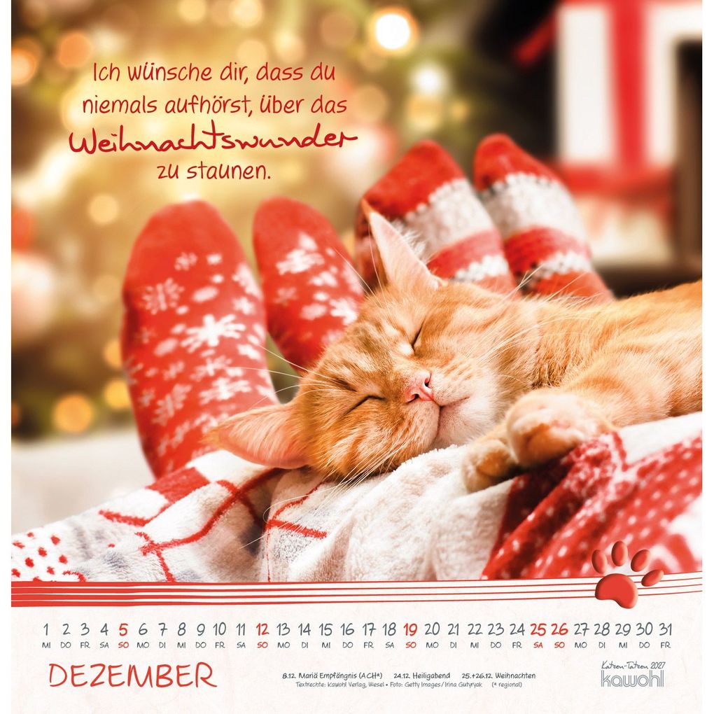 Weitere Ansicht: Katzen-Tatzen 2027