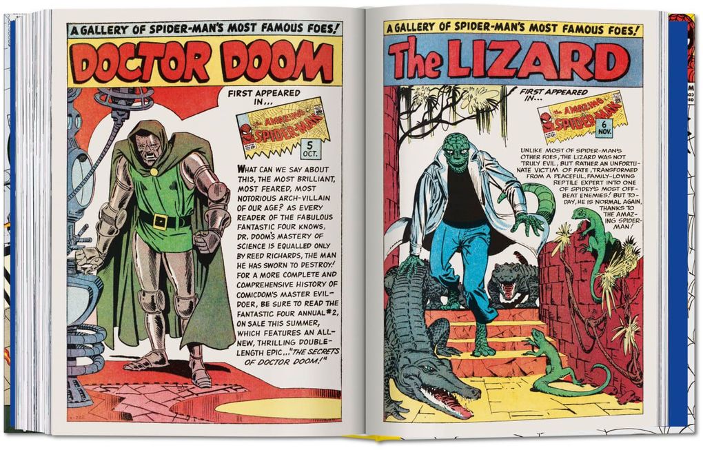 Weitere Ansicht: Marvel Comics Library. Spider-Man. 1962-1964 | Ralph Macchio