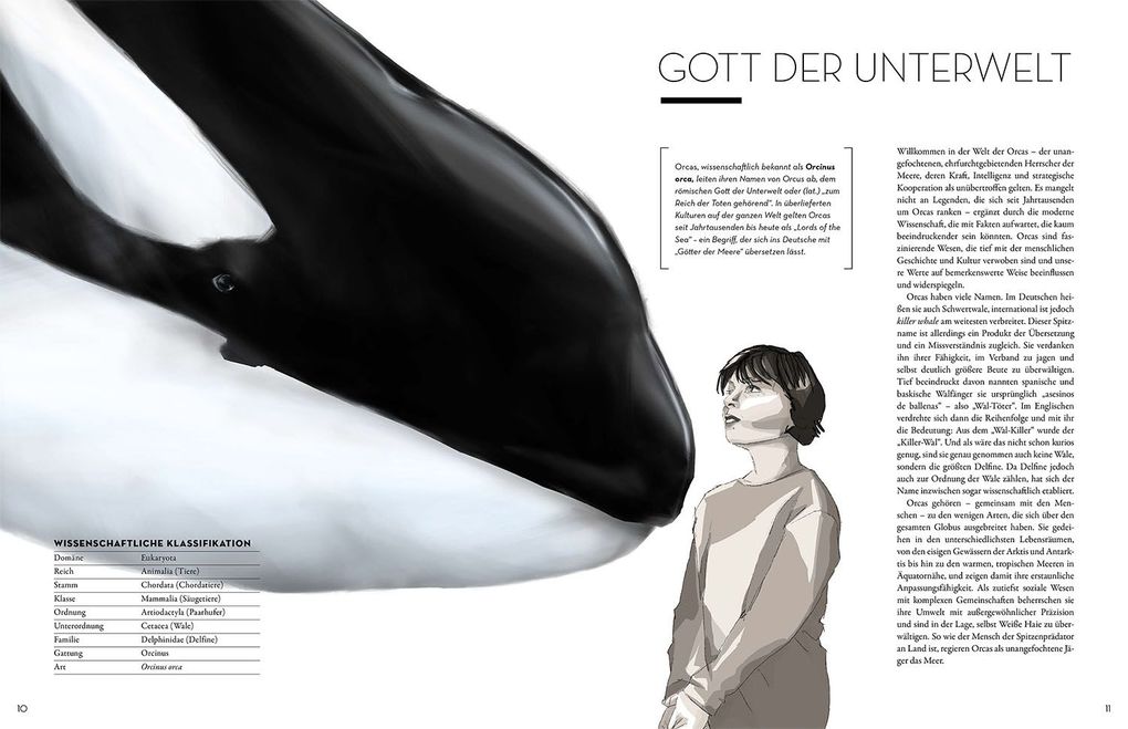 Weitere Ansicht: Orca | Elena Gossmann