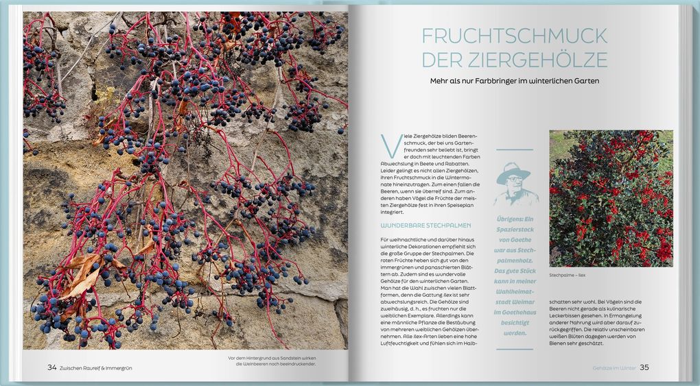 Weitere Ansicht: Zwischen Raureif und Immergrün | Horst Schöne