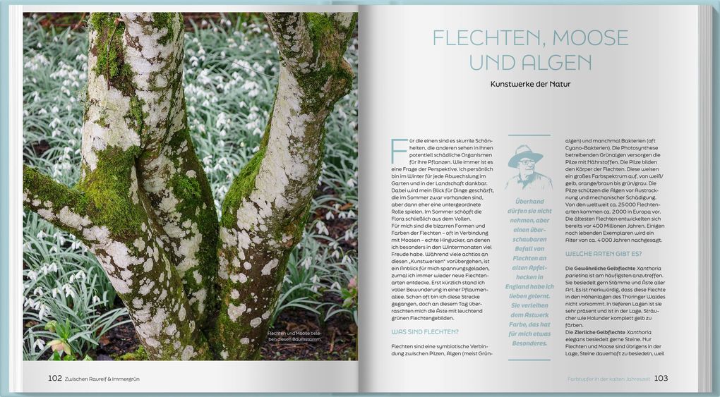 Weitere Ansicht: Zwischen Raureif und Immergrün | Horst Schöne