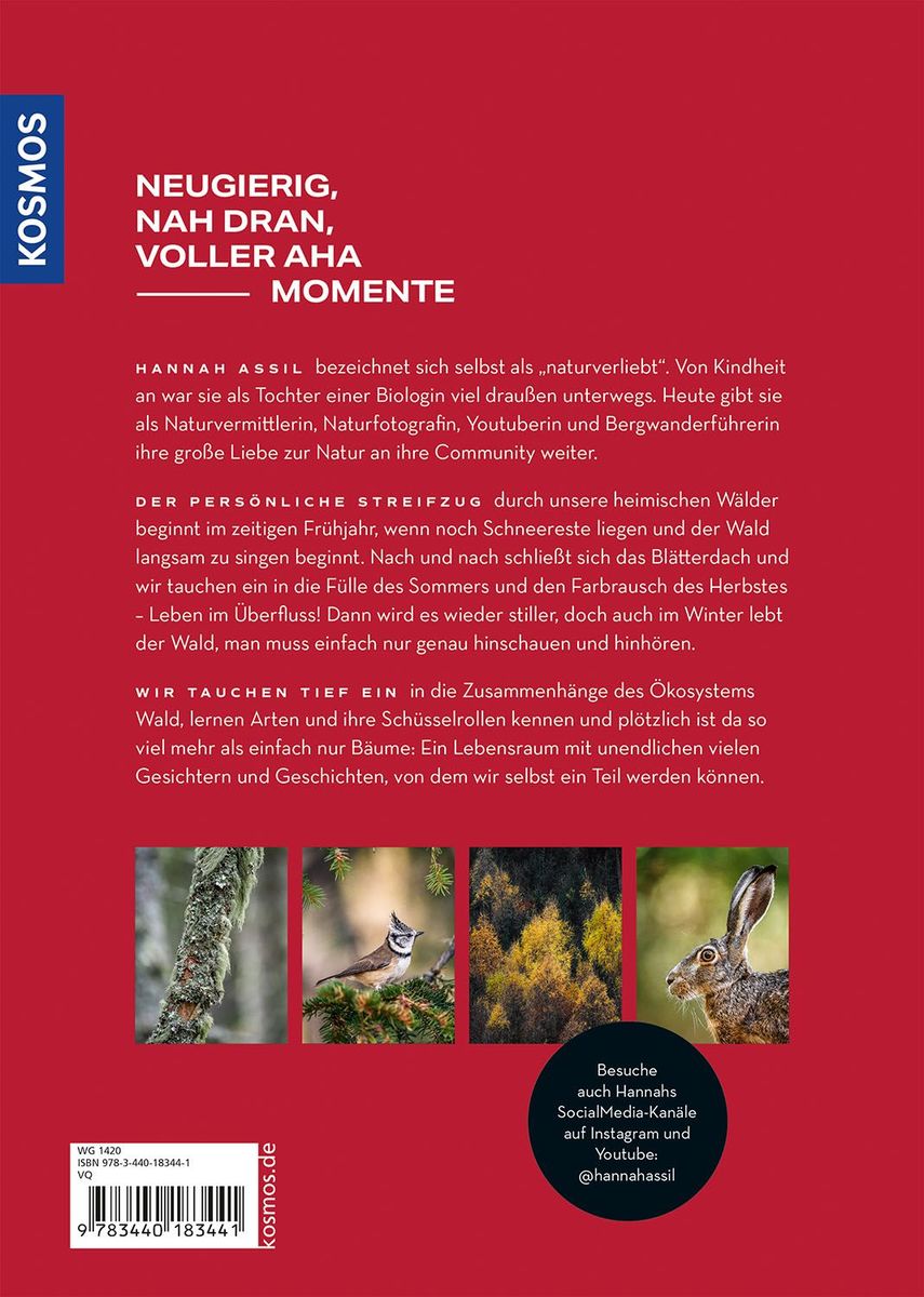Weitere Ansicht: Sprichst du Wald? | Hannah Assil