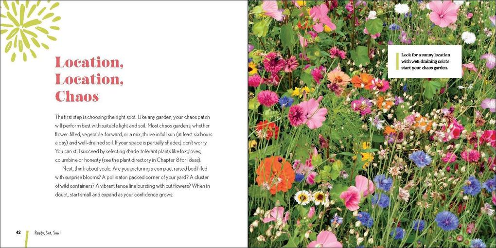 Weitere Ansicht: Grow a Chaos Garden | Teresa Woodard