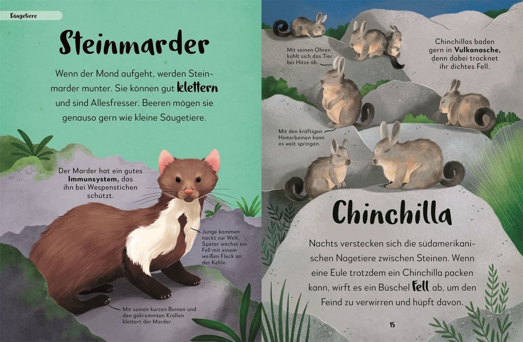 Weitere Ansicht: Mein liebstes Buch der Tiere der Nacht | Laura Buller