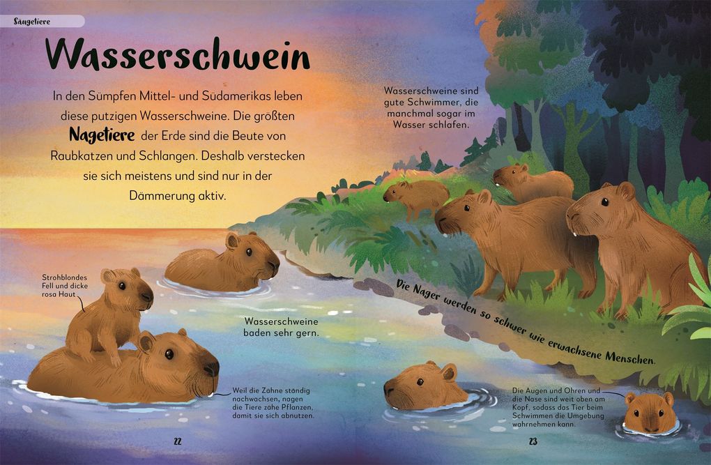 Weitere Ansicht: Mein liebstes Buch der Tiere der Nacht | Laura Buller