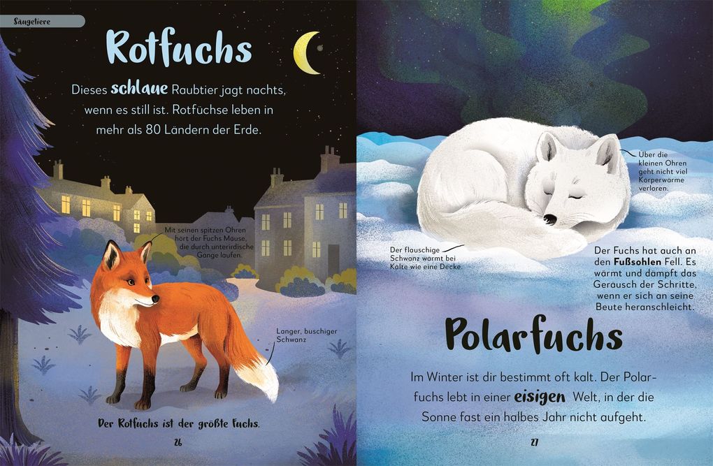 Weitere Ansicht: Mein liebstes Buch der Tiere der Nacht | Laura Buller