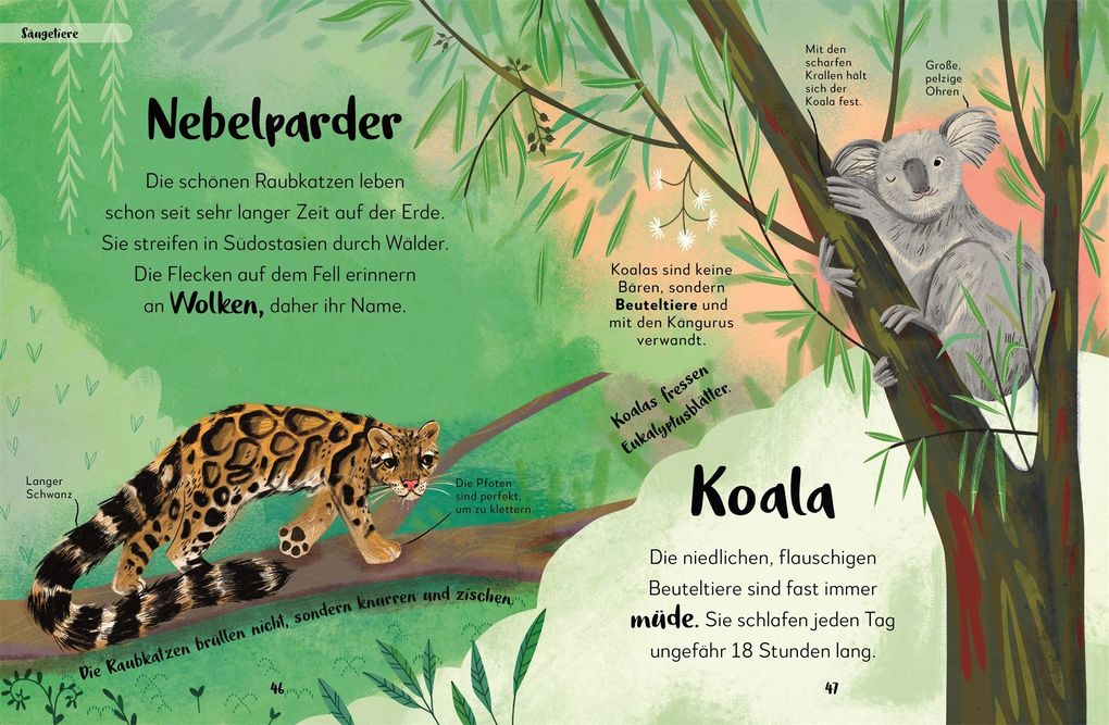 Weitere Ansicht: Mein liebstes Buch der Tiere der Nacht | Laura Buller