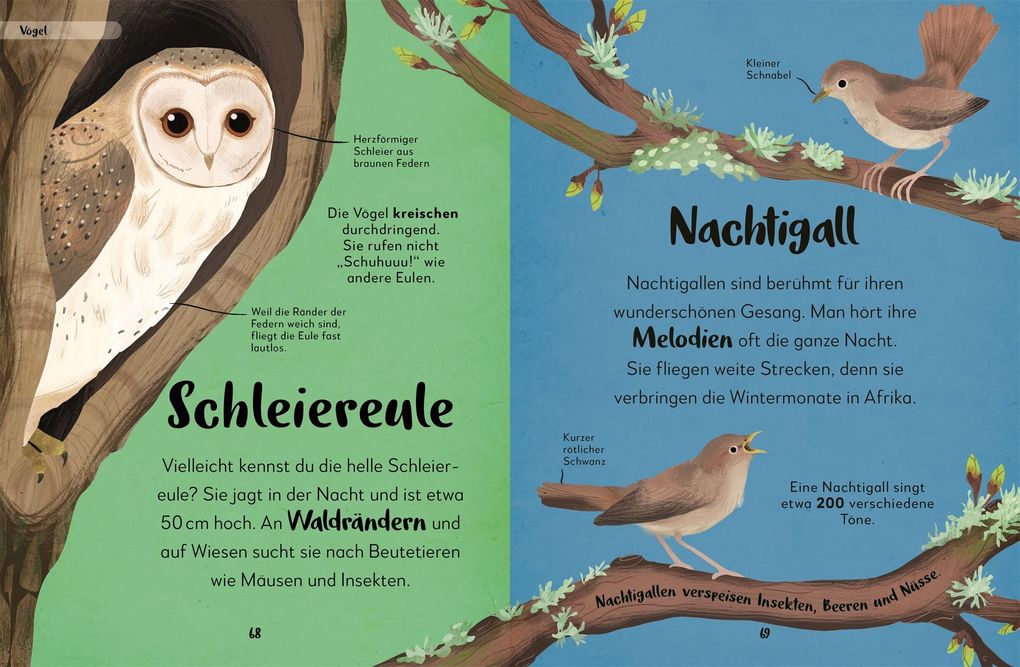 Weitere Ansicht: Mein liebstes Buch der Tiere der Nacht | Laura Buller