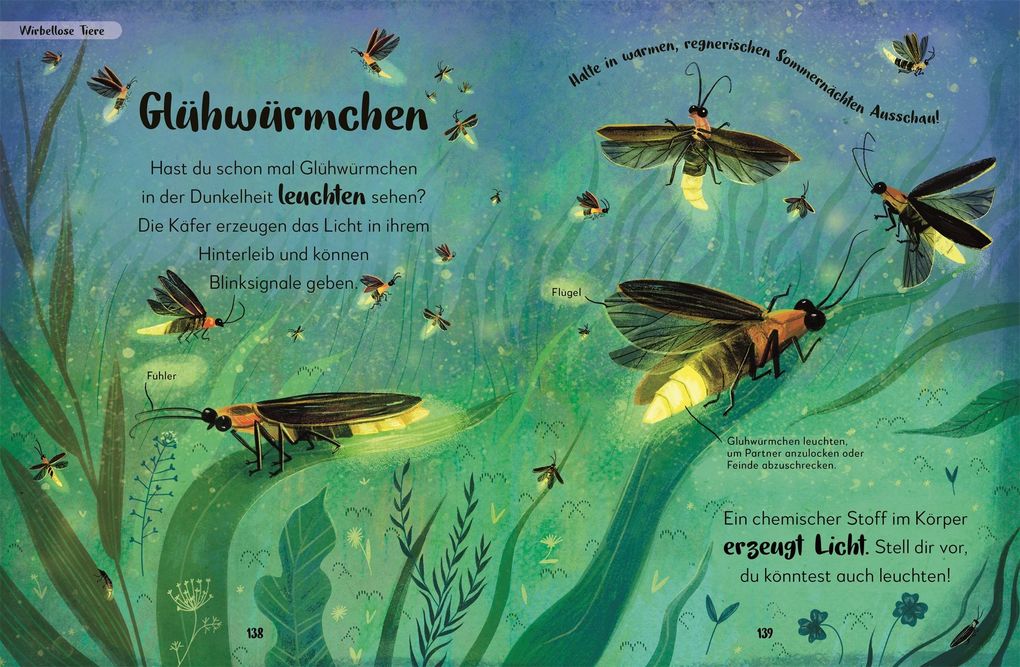Weitere Ansicht: Mein liebstes Buch der Tiere der Nacht | Laura Buller