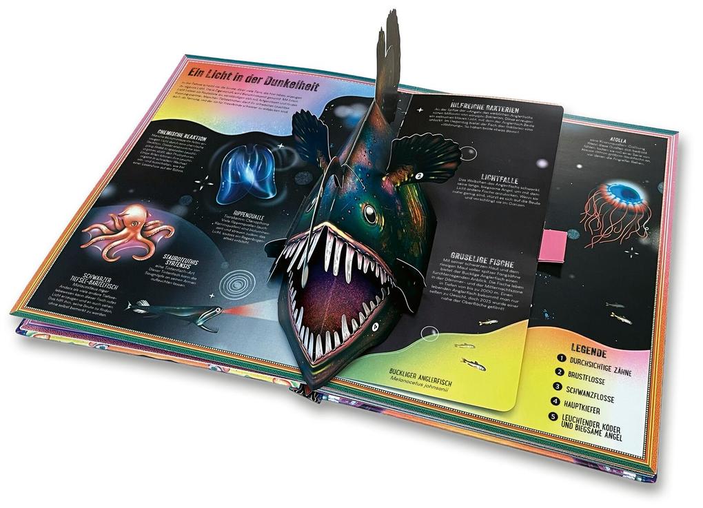 Weitere Ansicht: Das unglaubliche Pop-up-Buch - Tiefsee | Ben Hoare